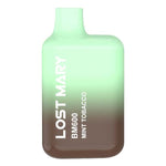 Lost Mary BM600 Prefilled Pod Vape KIt