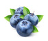  A bottle of Blueberry flavoured eliquid made in the UK