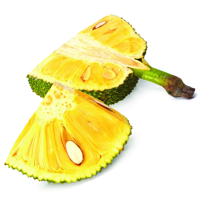Jackfruit ( eliquid | ejuice )