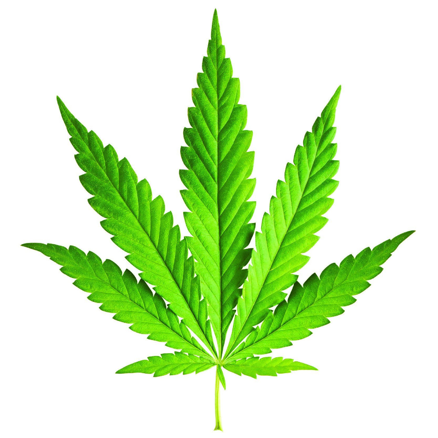 Mary Jane flavoured e liquid ( eliquid or ejuice ) Motivape