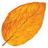  A bottle of Red Oak flavoured eliquid made in the UK