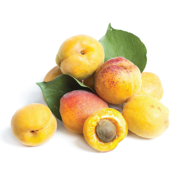 Apricot ( eliquid | ejuice )