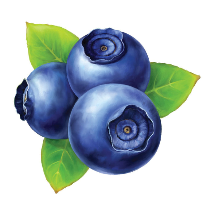 Blueberry Wild ( eliquid | ejuice )